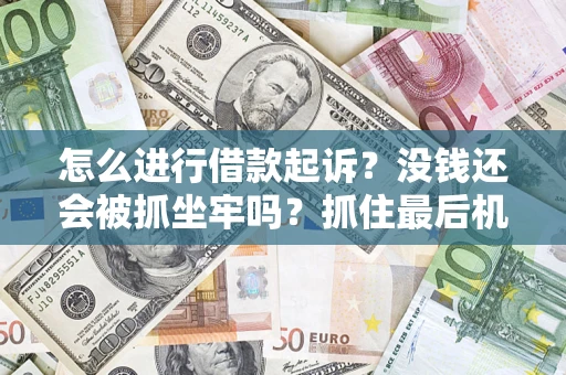 北京怎么进行借款起诉？没钱还会被抓坐牢吗？抓住最后机会！