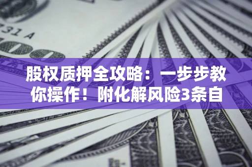 北京股权质押全攻略：一步步教你操作！附化解风险3条自救法则