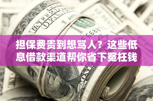 北京担保费贵到想骂人？这些低息借款渠道帮你省下冤枉钱