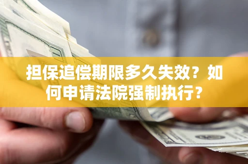 北京担保追偿期限多久失效？如何申请法院强制执行？