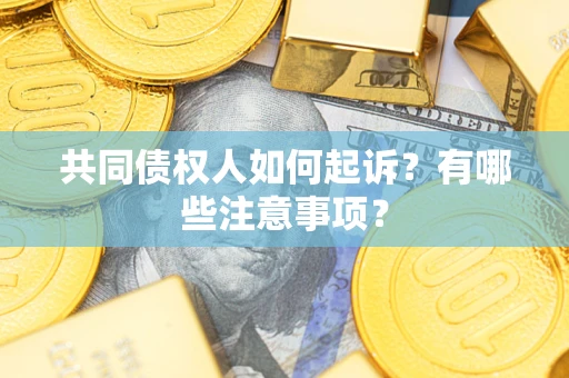 北京共同债权人如何起诉？有哪些注意事项？