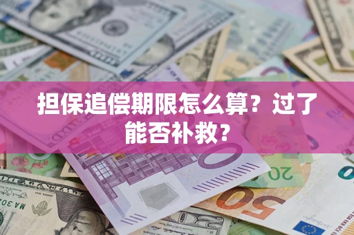 北京担保追偿期限怎么算？过了能否补救？